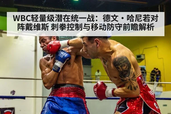 WBC轻量级潜在统一战：德文·哈尼若对阵戴维斯 刺拳控制与移动防守前瞻解析